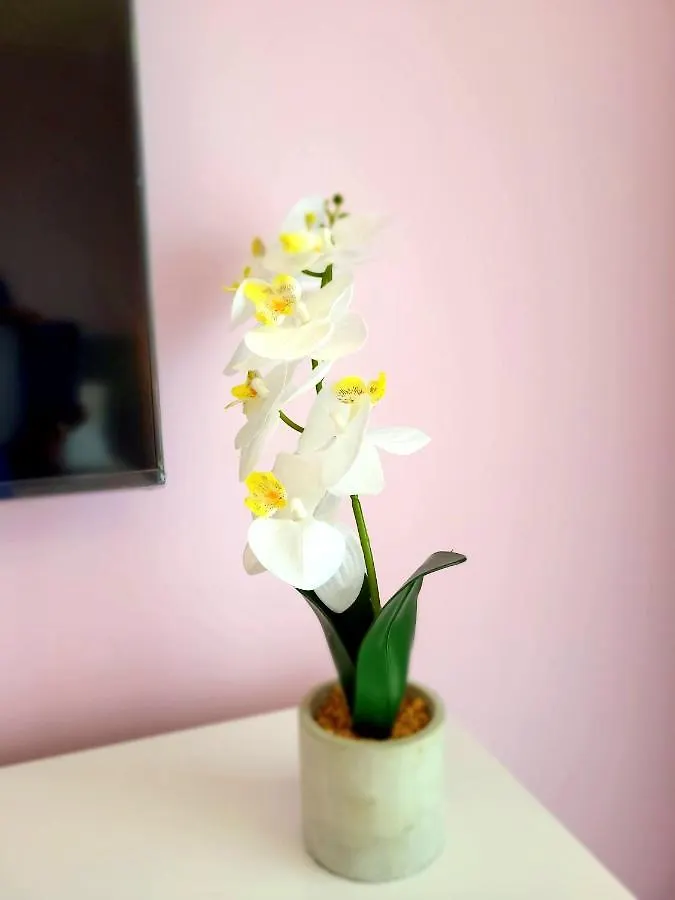 Eksclusive Apartment Paradise Down Town 6 Persons 3 Rooms Krakow